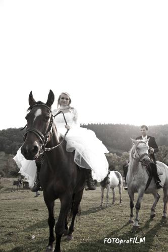 dagmara-i-krzysztof-dk04