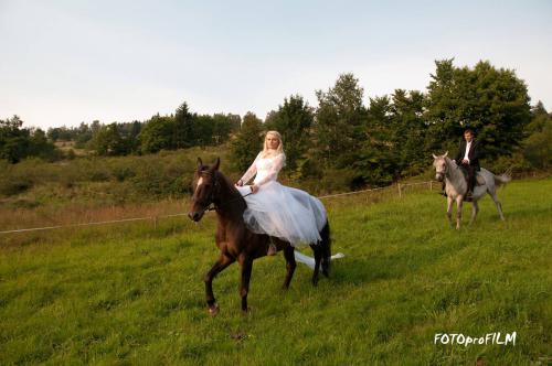 dagmara-i-krzysztof-dk10