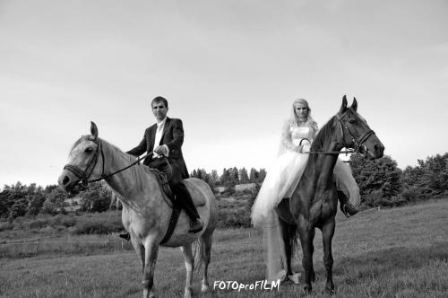 dagmara-i-krzysztof-dk11